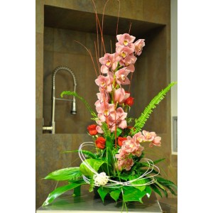 Centre d&acute;orqu&iacute;dia