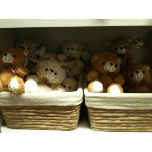 Teddy